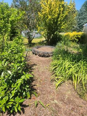 Foto - Grundst&uuml;ck zur Miete in Haselbachtal