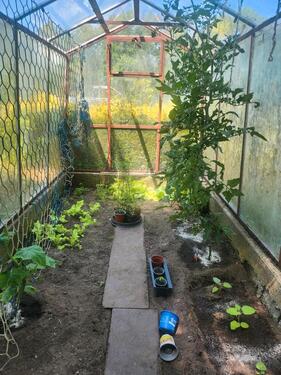 Foto - Grundst&uuml;ck in Haselbachtal