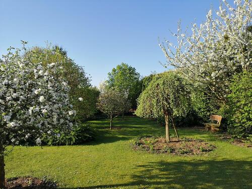 Foto - 8 Zimmer Mehrfamilienhaus, Wohnhaus in Lemgo
