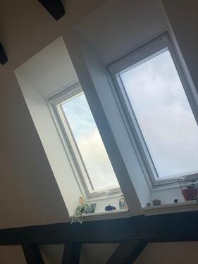 Foto - Weihnachten als Zwischenmiete Alte Neustadt