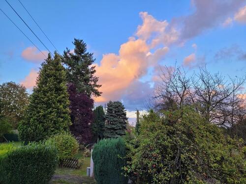 Foto - 2-Zimmer Wohnung (60qm) Maisonette