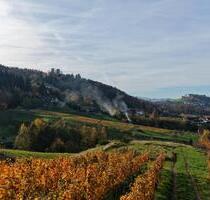 Reben mit Burgblick - Bühl - 3.600,00&nbsp;EUR Kaltmiete, ca.&nbsp; 768,00&nbsp;m&sup2; in Bühl (PLZ: 77815)