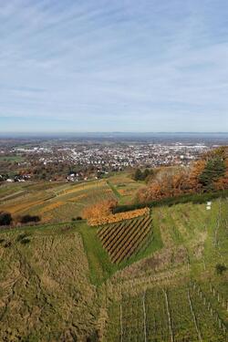 Foto - andere in Bühl zur Miete