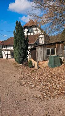 Foto - Mehrfamilienhaus, Wohnhaus in Bad Liebenstein zum Kaufen