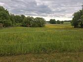 Foto - Absolute Traumlage - Baugrundstück in sonniger Südlage Ortsrand