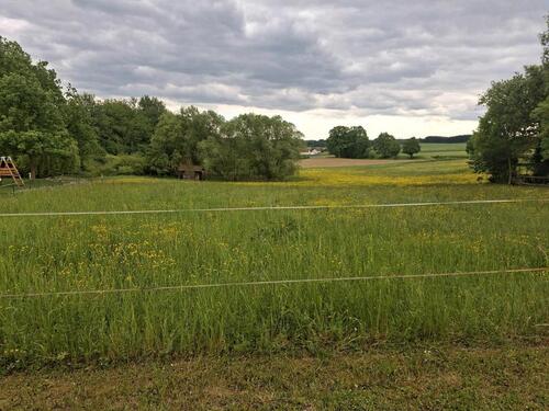 Foto - Absolute Traumlage - Baugrundstück in sonniger Südlage Ortsrand
