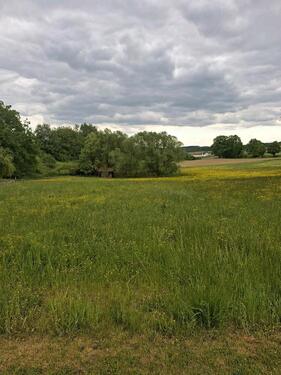 Foto - Grundst&uuml;ck zur Miete in Landshut