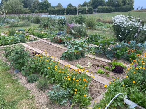 Foto - Grundst&uuml;ck zur Miete in Wehrheim
