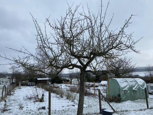 Foto - Grundst&uuml;ck in Wehrheim