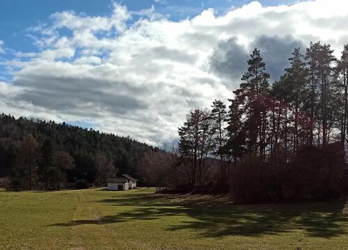 Foto - FAST-ALLEINLAGE im GRÜNEN, EFH mit Nebengebäude, 1200qm Grundstüc