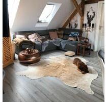 Traumhaft schöne Dachgeschoss Wohnung - Seesen