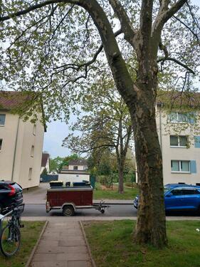 Foto - 3 Zimmer Etagenwohnung in Hannover