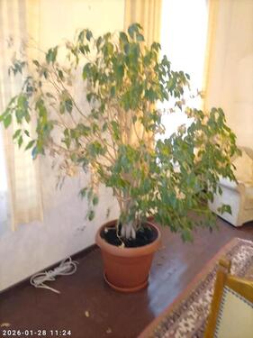 Foto - 2 Zimmer Etagenwohnung in Haltern am See