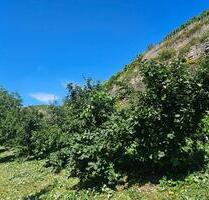 Gartengrundstück in Walheim - 360,00 EUR Kaltmiete, ca.  0,00 m² in Besigheim (PLZ: 74354)