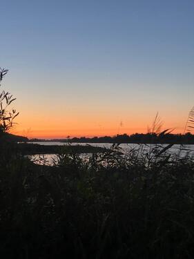 Foto - andere in Neu Darchau