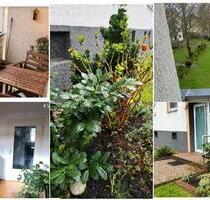 Gemütliche Wohnung mit Sonnenschein in ruhiger Lage in Do- Körne - Arnsberg Holzen