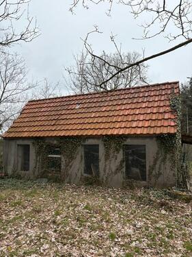Foto - Einfamilienhaus zum Kaufen in Rastede