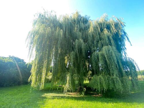 Foto - Wohnen im Grünen, Wohnfläche erweiterbar