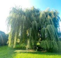 Wohnen im Grünen, Wohnfläche erweiterbar - Wolnzach