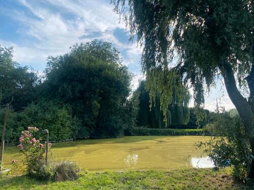 Foto - Etagenwohnung zur Miete in Wolnzach