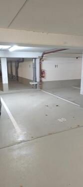 Foto - andere in Dresden