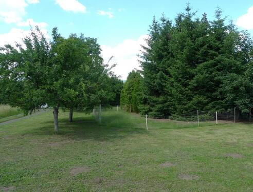 Foto - WieseStreuobstwiese - 4.000,00 EUR Kaltmiete, ca.  0,00 m²