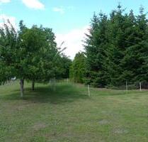 WieseStreuobstwiese - 4.000,00 EUR Kaltmiete, ca.  0,00 m² in Buseck (PLZ: 35418)