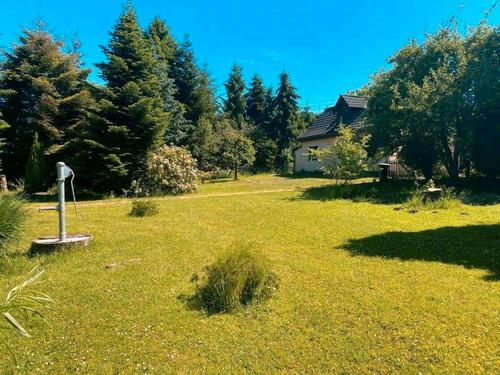 Foto - 