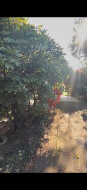Foto - Bungalow in Refrath - 2.460,00&nbsp;EUR Kaltmiete, ca.&nbsp; 160,00&nbsp;m&sup2;