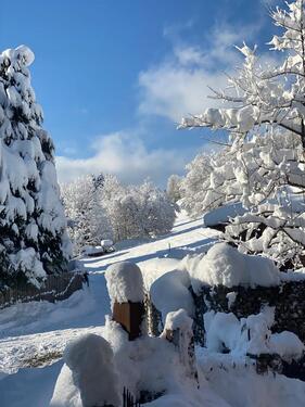 Foto - andere in München