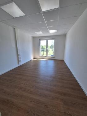 Foto - andere in Lingen (Ems) zur Miete
