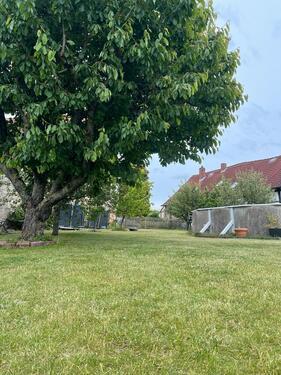 Foto - Einfamilienhaus in Königslutter am Elm