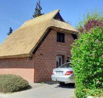 Reetdachhäusche in Groß Zicker, Mönchgut, Rügen; erste Woche= - Sellin