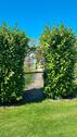 Foto - Pachtgarten ca. 450m2 in Klütz - 3.900,00&nbsp;EUR Kaltmiete, ca.&nbsp; 0,00&nbsp;m&sup2;