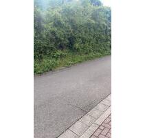 Baugrundstück in Zweibrücken Wattweiler in bester Wohnlage