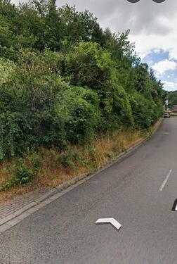 Foto - Grundst&uuml;ck in Zweibrücken