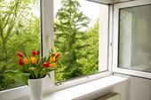 Foto - 4 Zimmer Etagenwohnung zum Kaufen in Leipzig