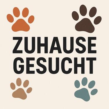 Foto - Nachmieter 5 Zimmer Wohnung 01.02.2026