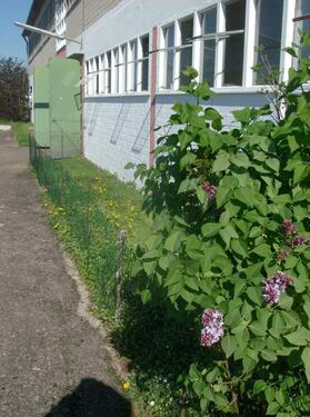 Foto - andere zur Miete in Rodgau