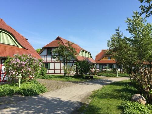 Foto - andere in Dranske