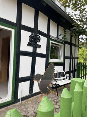 Foto - andere zur Miete in Hüllhorst