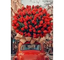 3-Zimmer-Wohnung - 1.000,00&nbsp;EUR Kaltmiete, ca.&nbsp; 73,00&nbsp;m&sup2; in Sigmarszell (PLZ: 88138)