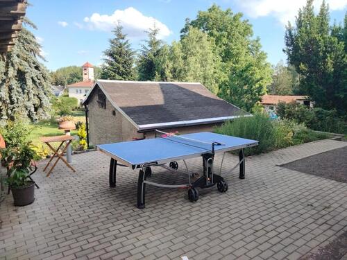 Foto - Einfamilienhaus zur Miete in Elsteraue