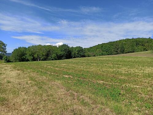 Foto - Ackergrundstück bei Kandern zu Pachten