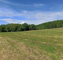 Ackergrundstück bei Kandern zu Pachten