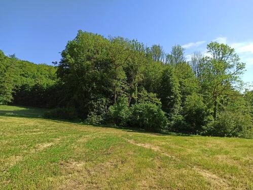 Foto - andere zur Miete in Kandern