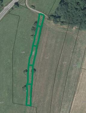 Foto - andere in Kandern