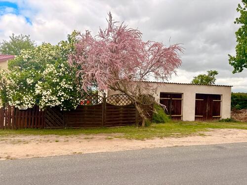 Foto - 4 Zimmer Bungalow zum Kaufen in Trebbin