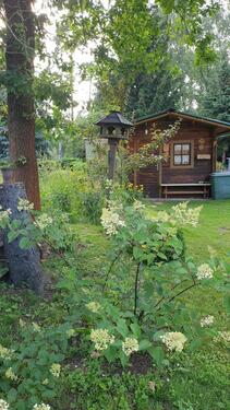 Foto - Einfamilienhaus in Lauchhammer