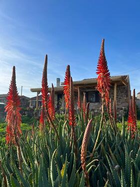 Foto - Einfamilienhaus in Berlin